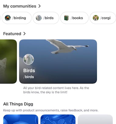 Screenshot in light mode showing the Birds community feature on Digg