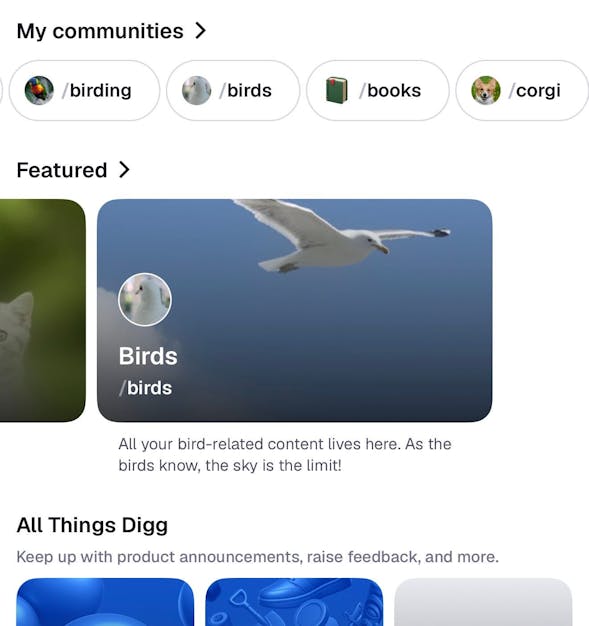 Screenshot in light mode showing the Birds community feature on Digg