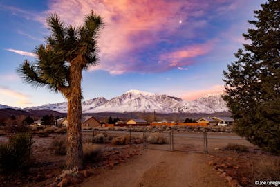 View of the Sierra Nevada (looking due West) from my driveway. The highest peak (in center of frame) is Mt. Tom, 13,658 elev.