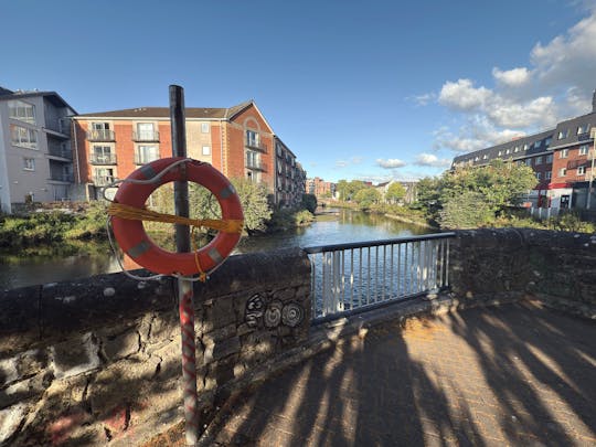 River Lee in Cork, Ireland. Brick houses and trees.