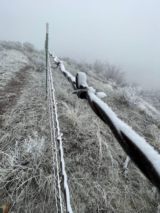 Barbed wire fence covered in frost on a foggy hillside, with sparse vegetation and a muted landscape in the background.