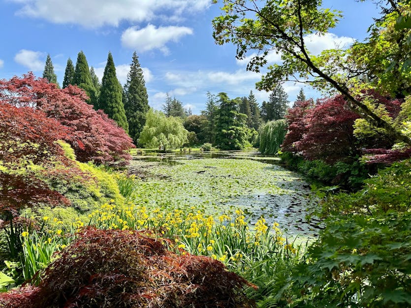 Landscape photo of a pond surrounded by lush greenery