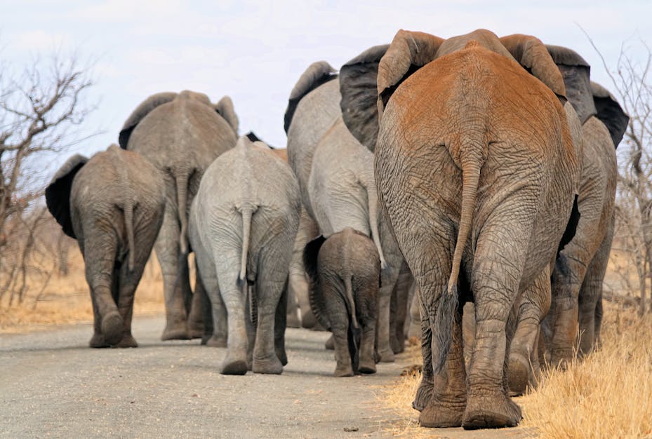 Sometimes there are road blocks. Do not be aggressive.