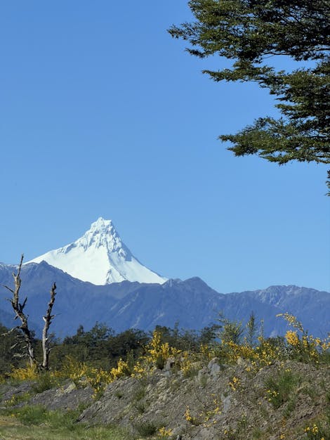 Last one of the three I saw, Puntiagudo 